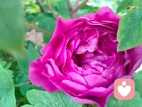 抛开所有的烦恼和忧愁，我会静静的等待你的分享，倾听你的所有不开心的事配图