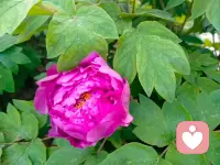 抛开所有的烦恼和忧愁，我会静静的等待你的分享，倾听你的所有不开心的事配图