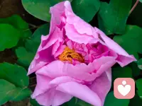 抛开所有的烦恼和忧愁，我会静静的等待你的分享，倾听你的所有不开心的事配图