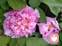 爱和被爱的感觉一样吗，亲，你们在享受着哪一种💑💑💑配图