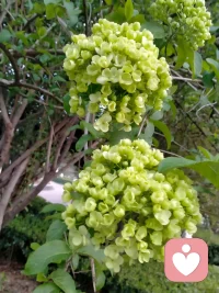 向往美好的时光，只有照片才可以留住美好的回忆👫👫👫👷