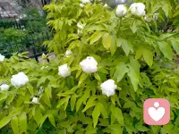 向往美好的时光，只有照片才可以留住美好的回忆👫👫👫👷