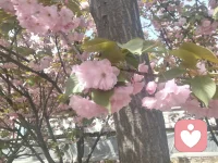 心花怒放的时候比不开心的时候要好很多，把我当成你的垃圾桶，尽情的往里面到情绪垃圾吧