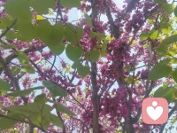 心花怒放的时候比不开心的时候要好很多，把我当成你的垃圾桶，尽情的往里面到情绪垃圾吧