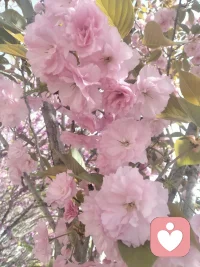 心花怒放的时候比不开心的时候要好很多，把我当成你的垃圾桶，尽情的往里面到情绪垃圾吧