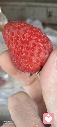 珍惜身边每一个对你好的人，给她们一个温暖的怀抱。