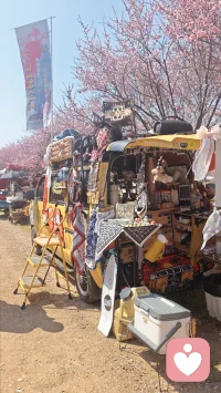 春有约，花不误……