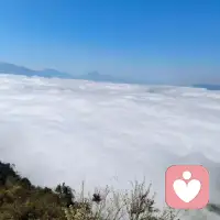 境随心变，允许一切发生，他告诉你要一切顺其自然，不必强求，让花成花，让树成树，让自己成为自己，也允许别人成为别人！[感谢][感谢][感谢]