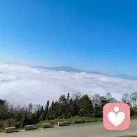 境随心变，允许一切发生，他告诉你要一切顺其自然，不必强求，让花成花，让树成树，让自己成为自己，也允许别人成为别人！[感谢][感谢][感谢]