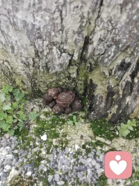 忽略他人感受的人，根源往往是经常忽视自己的心灵感受，和自己的心🧡基本不链接🔗