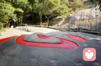 不是发生了什么~
​是我们决定这件事情
在我们这“怎么”发生？怎么留存？
找到背后的如此幸运
存在我们的生命里。
——武立舅舅配图