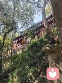 过度的心软，是没有底线的纵容。毫无原则的仁慈，是自取其辱的懦弱。善良必须带锋芒，包容一定要有边界，否则所有的退让，只会换来别人的得寸进尺与肆无忌惮。配图