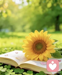 陪聊分析vs找朋友吐槽：本质区别在哪？
找朋友吐槽一整晚，第二天醒来焦虑依旧；找专业疏导半小时，心里的大石头却落了地。 你以为心理疏导就是“花钱买个耳朵”，其实真正的疏导是“花钱买个大脑”。 看完这篇，你就知道为什么你需要一个懂心理学的“陌生人”。
你是不是经常这样：遇到事想跟朋友说，又怕负能量太重烦到别人；好不容易说出口，对方只会说“别想太多”、“开心点”。你听完更堵得慌，感觉没人懂你。你在深夜里辗转反侧，不知道这股无名火或者无力感从何而来。
下次找陪聊或疏导，用这几条去卡，不达标的都是“假咨询”：
●不只做复读机：对方是否能从你的叙述中，提炼出你没意识到的核心矛盾？（如果只说“嗯嗯对啊”，那是捧哏）
●没有道德评判：你说出阴暗面时，对方是客观分析成因，还是大惊小怪？（客观接纳=专业）
●引导多于建议：不是直接教你做事，而是问出好问题让你自己想通。（好的提问>烂的建议）
●情绪颗粒度：能帮你把“难受”精准定义为“委屈、无助还是愤怒”？
●有收尾动作：聊完是否有情绪回落的安抚，而不是戛然而止？
●常见失败案例：很多客户找非专业陪聊，聊high了产生情感依赖，最后问题没解决，反而多了个“网恋”烦恼。
●流程节点差异：朋友聊天是“情绪发泄->互相吐槽->转移话题”；我们的疏导是“情绪承接->核心信念挖掘->认知重构->行动建议”。“你最近一次感到‘没人懂我’，是因为什么事？”
主理人金句：朋友负责陪你哭，专业疏导负责让你看清为什么哭，以及怎么止哭。配图