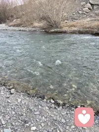 倾听你的情绪配图