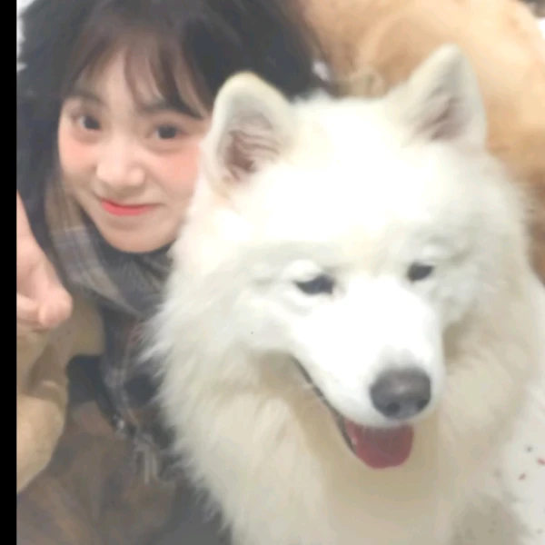 歆然倾听