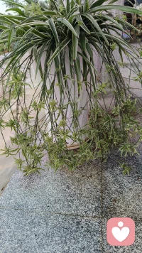 在得到和失去之间还有一个更高的维度：无论得到还是失去，我都学到了什么。这就是常说的：经历本身没有价值，你对经历的感悟指导了你的余生，才是你的无上瑰宝。配图