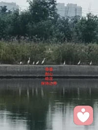 心平能医三千疾，心静可通万事理。配图