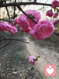 你好，一切安好配图