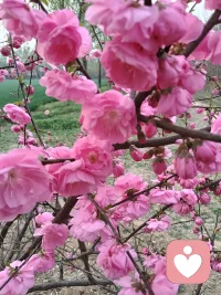 自在在自己，他处不可求