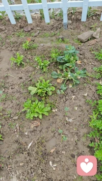 融入自然的活动总是让人放松，希望能给到需要的人以宁静。配图