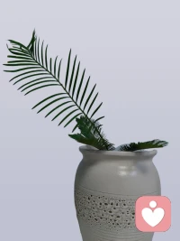 把生活调成自己喜欢的频道🌟配图