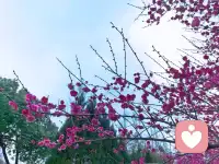 情绪稳定，好好生活