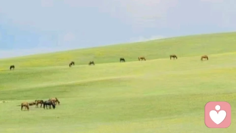 \n今天被领导骂了，不敢跟朋友说；和伴侣吵架了，翻遍通讯录找不到一个可以倾诉的人；\n明明很累，却还是睡不着，只能抱着手机熬到天亮……\n \n其实你不需要一直
