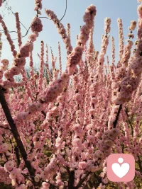 焦虑的本质是什么？
人不会为了做不到的事情而焦虑，你焦虑是因为你有完成这个事情的实力，就比如说，我们不会因为不会造火箭而焦虑，所以焦虑不是因为你不行，而是你知道自己行，所以才在意能不能配图