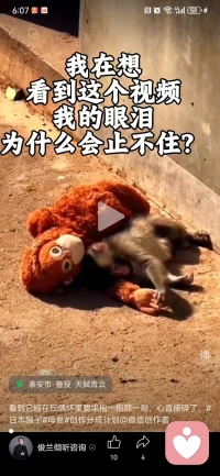 笑容里的委屈，假装坚强，却不敢崩溃配图