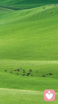 婚姻解决不了孤独，也治愈不了迷茫，两个内心无法自足的人抱团，通常不是温暖，而是摩擦，，配图