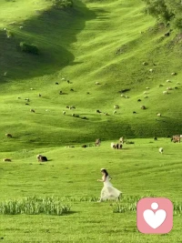 单身只是状态，不将就却是底线，这份底线终将让你遇见更好的自己，愿你不慌不忙，心之所向，素履以往❤️配图