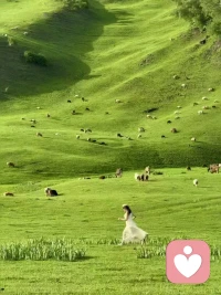 曾经总以为爱情是关系的最终极最完美的答案，直到遇到那个聊的来的搭子，才深深的懂得不用名分的牵挂，随叫随到随时随地的回应，从琐碎聊到灵魂深处的默契，才更是生活里最最踏实的温暖，，原来，最好的陪伴从来不是被绑在一起的爱情，而是有人懂你的欲言又止，，，