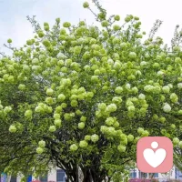 以温柔为刃，解心头千千结，承蒙认可，一份感动，一份满分，听山河入海，听心事落袋，用心倾听每一个故事，用情守护每一份脆弱