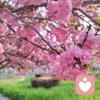 真正的强大，不是不在乎任何人的看法，而是即便听到了杂音，也依然坚定的知道“我是谁”，在这个世界上，只有两种人的看法值得一听，：一种是爱你懂你尊重你的亲人，另一种是生活过得比你精彩，，人生智慧比你高的人，你活成的样子，就是对那些闲言碎语最有力的回击，女人，万强不如自强，送给线下咨询的姐妹们共勉