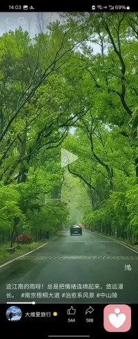 梧桐树下，是慢下来的岁月，，也是静下来的人心。，亦是那首词，梧桐更兼细雨，到黄昏，点点滴滴，借得金陵千古意，只将心事付君庐，，，