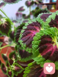 你的健康，你的好心情，永远是自己的