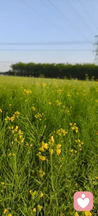 世界喧嚣，总有人愿意倾听，接纳你的情绪，读懂你的心事，不用勉强合群，不必独自硬抗，你的脆弱与迷茫，在这里都被温柔安放。成年人的崩溃，从来都悄无声息，说不出的委屈，压在心底的内耗，无人理解的孤独，，，，，陪你和解情绪，温柔治愈