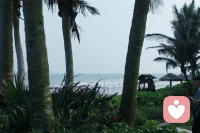 很荣幸能成为你心灵路上的同行者，助力重拾内心的平和与生活勇气，世间所有的相逢，都是命中注定的缘分，人海茫茫，能彼此遇见，，倾心倾诉，便是难得的情愫相依，愿往后岁月心有暖阳，岁岁安然，万事从容❤️感恩所有不期而遇的温暖❤️配图