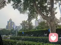 世间最温柔的治愈。是心事有人倾听，情绪被全然接纳，静心聆听，温柔相伴，🌹🌹成年人习惯把崩溃调成静音，独自消化万千心绪，心若安然世事皆柔，慢慢释怀，善待自己❤️