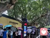 伯牙抚弦，高山知意，流水懂心，世间难得一知音，一曲高山流水，不寻万千过客，只等一人共情。琴声寄山河，幸有知音，懂我寻常心事。 山水为韵，琴音为契，知己相逢，胜过万千寒暄。