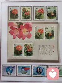 一个人强大的标志，就是让自己活得开心！🌹🌹🌹🌹🌹🌹