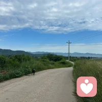🌴🌴时间，让深的东西入骨，让浅的东西无痕，时间不是解药，但是解药一定在时间里🍀🍀🌺🌺🌺🌹🌹🌻🌻