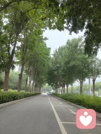 人海相逢，谈吐清雅，自带风月。见过世事，依旧温和，饱读诗书，从不张扬，世间最好的气质，是读过万卷书沉淀下来的从容，心静开阔，如沐春风🌹🌹