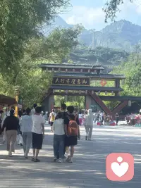夜雨轻轻落下，把喧嚣慢慢抚平，不用追赶什么，也不必勉强自己，听一阵雨声，好好与自己相伴。
