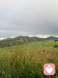 🌴🌷我们都渴望一份不带偏见的共情，不用小心翼翼顾及分寸，不用害怕说出真实想法会被否定。感情里的遗憾、纠结、孤独，那些无处安放的情绪，都可以缓缓诉说。清晨适合和解，也适合安放心事。如果你想卸下满身疲惫，来一场温暖的语音倾诉，我始终在这里，以温柔相待🌹🌹