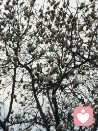 做了一段时间的倾听工作，可是来给力做倾听是第一天，拿着手机在等待，刚刚突然想，我们作为人，我们一样，但是我们又各式各样。
在某个方面，可能有很大的不同，和不大部分人不同。
但是又怎么样呢，我们还是处在这个世界上，也就是这个世界没有不容忍我们，可是我们自己常常计较我们自己。
尤其在不影响他人的情况下，我们可以对自己多些宽松。