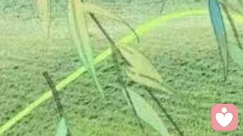 情绪，是用来用的