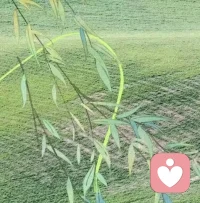 我们自己的人生，有时候我们说不能选择，其实多少有些逃避，因为我们没有真正的认真对待。我们没有真正的狠下心来，严格要求自己。
所以将来某一天事情发生的时候，我们怨，也无济于事。因为很多事情都是我们当时的选择，现下是果。
当然，现在又是将来的因，现在的选择决定着将来的果。
人生就像一个射线，选择之后，后面的角度会差别非常大。我们经常听到的语言，‘当时如果怎么样怎么样就好了’。因为切切实实的感受到了结果都不同。也就是说我们当时选择的时候并不清楚结果，甚至或者说，不是那么清楚自己的选择，甚至有点逃避责任的说，稀里糊涂就这样了。怎么可能呢？我们每天指挥着自己的身体去做事，这都是我们每一天的决定啊。
所以慎重对待自己，尊重自己，珍惜自己，不让自己有后悔的机会。配图