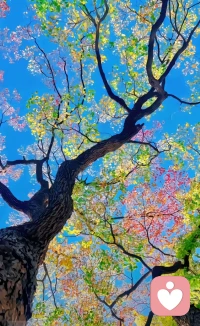 情志大于肌体，让我们一起管理好自己的情绪，照顾好自己的身体，愿我们都能情绪平和，自在安稳，
把日子过得温柔又明亮。配图