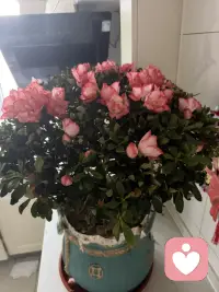 秒回，倾听，略懂心理学，随时有时间配图